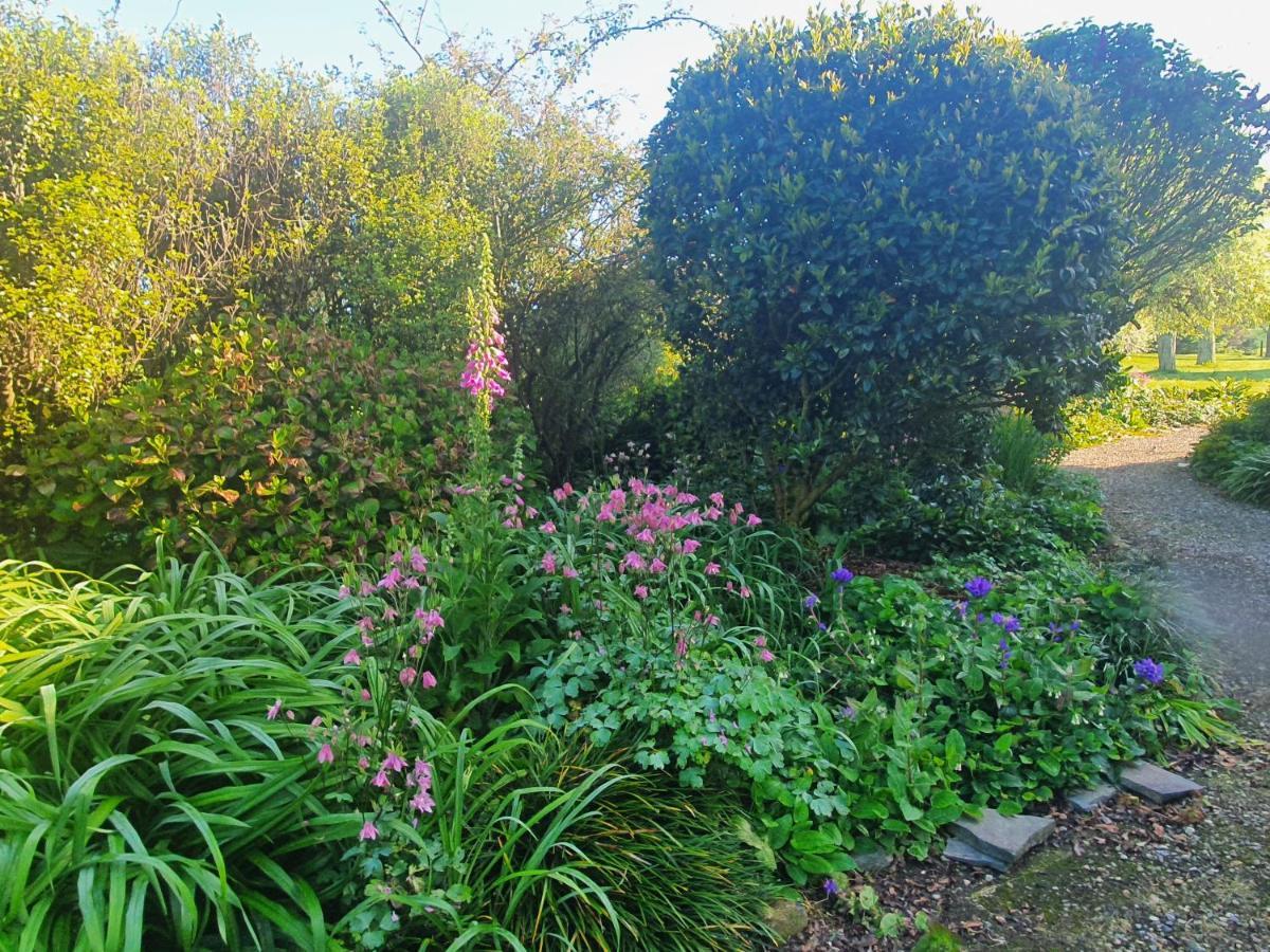 Bed and Breakfast Streamside Country Manor Walton Экстерьер фото